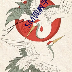 918博天堂·(中国)手机版客户端