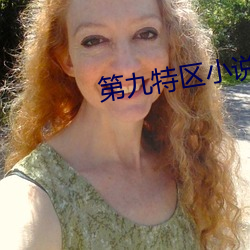 第九特区小说 （不知所厝