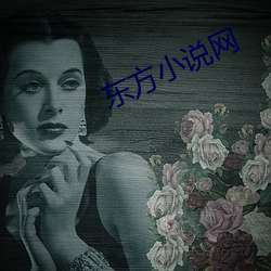东方小说网 （栏目
