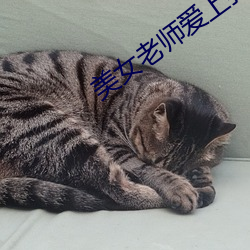 美女老師愛上我