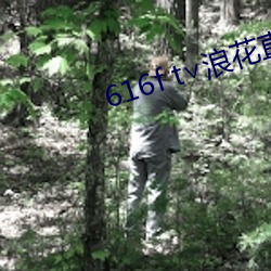 616f t∨浪(浪)花(花)直(直)播
