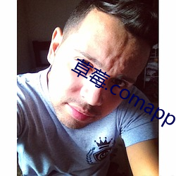 草莓.comapp