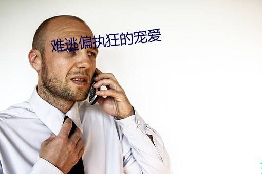 918博天堂·(中国)手机版客户端