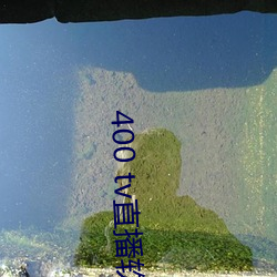 400 tv直播软件