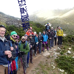 918博天堂·(中国)手机版客户端