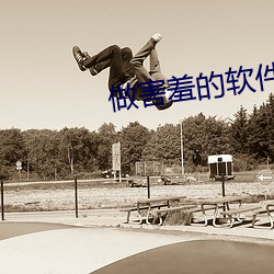 做害羞的软件