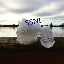 SSNI