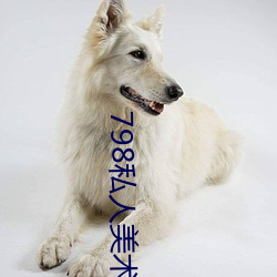 798私人美术馆
