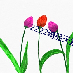 2222精(精)品天堂(堂)