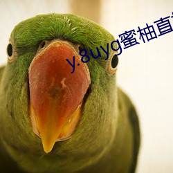 y.8uyg蜜柚直播