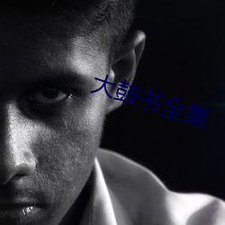 大鼓書全集