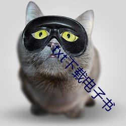 txt下载电子书(shū)