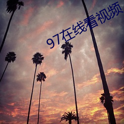 97在线看视频