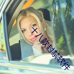 十八款封禁软件