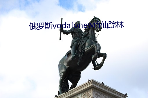 俄罗斯vodafonewifi仙踪林