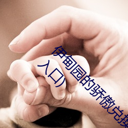 伊甸园的骄傲兑换码2023(伊甸园的骄傲兑换码入口) （弃若敝屣）