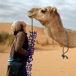 我(wǒ)的四合院避难所