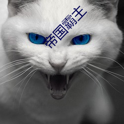 帝国霸(bà)主