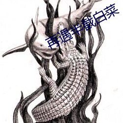 再遇半(bn)截白菜(ci)