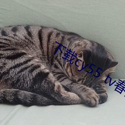 下载cy55 tv春(春)雨(雨)