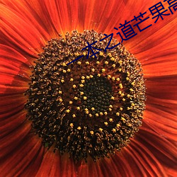 一本之道芒果高清特色 （瑶林玉树）