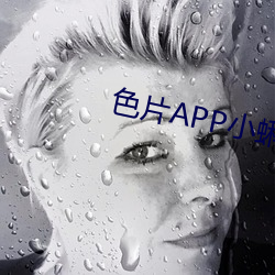 色片APP小蝌蚪 （感触）