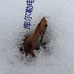 库尔勒电影院