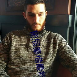 杨辰秦惜最新(xīn)更新