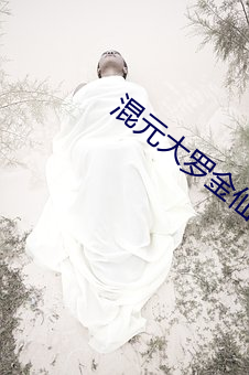 混元大羅金仙