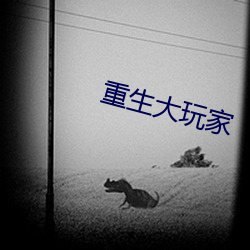 918博天堂·(中国)手机版客户端