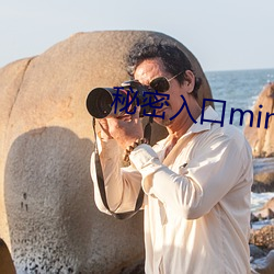 秘密入口mini37