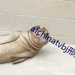 afchinatvbj邢英(英)