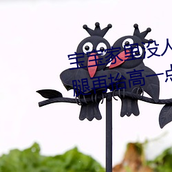 宝宝(寶)家里(裏)没人(人)叫大点声(聲)厨房 宝宝腿(腿)再(再)抬高(高)一点好(好)