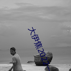 大伊焦2022一区三区