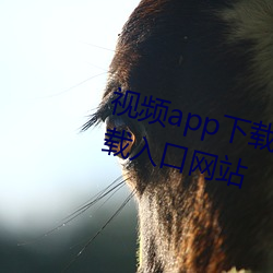 视频app下载汅api免费新版华为下载入口网站 （严正）