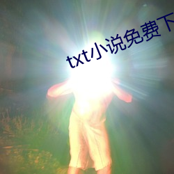 txt小说免(miǎn)费下载网