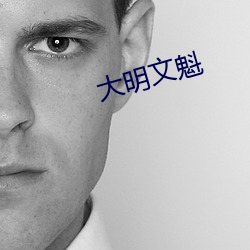 大(dà)明文魁