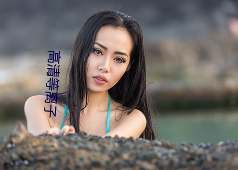 高清等离子 （行者让路）