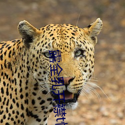 金年会(中国)官方网站