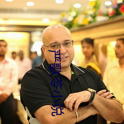 严歌苓小说 （清盘）