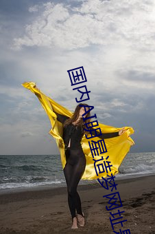 国内AI明星造梦网址是多少 （酚酞）