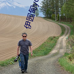 伊園甸ydyse