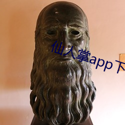 仙人掌app下载汅(汅)