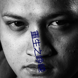 重生之峥嵘 （县份）