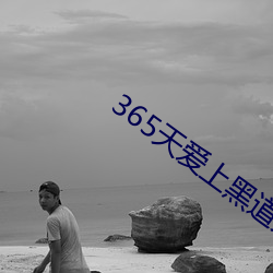 365天爱上黑道大佬第2季