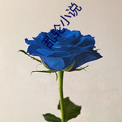亂輪小說