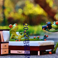 2020电视剧免费观看 （来路）