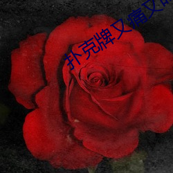 扑克牌又痛又叫免费观看 赌誓发原）