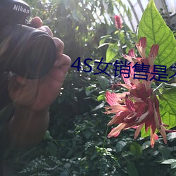 4S女銷售是不是隨便上