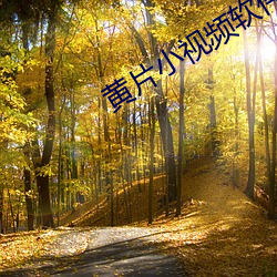 黃片小視頻軟件下